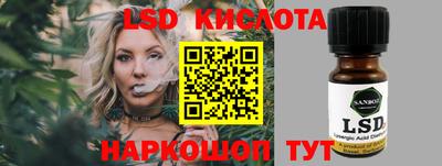 гидропоника Сланцы