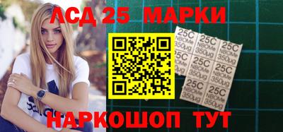 гидропоника Сланцы