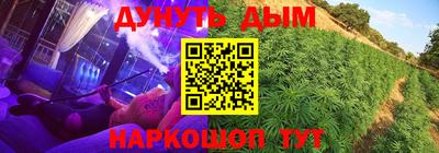сатива Славгород