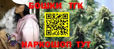 гидропоника Сланцы