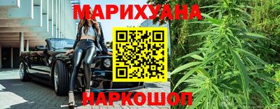 сатива Славгород