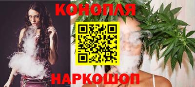сатива Славгород
